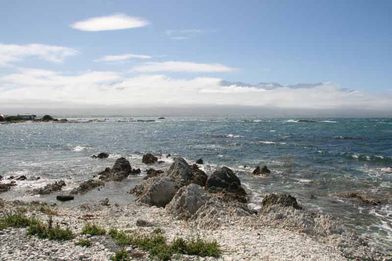 Nieuw-Zeeland 2011 - 1097
